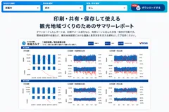 PDF サマリー版(A3形式)のイメージ