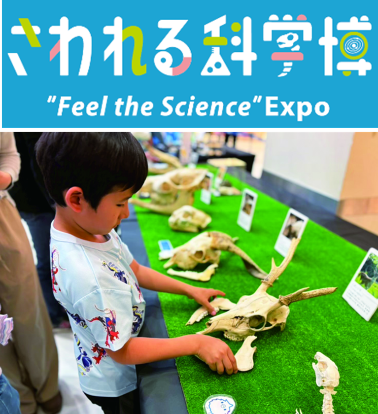 ゴールデンウィークは「泉パークタウン タピオ」で過ごそう！
『アイプリデビューパーティーDX』『さわれる科学博』開催！