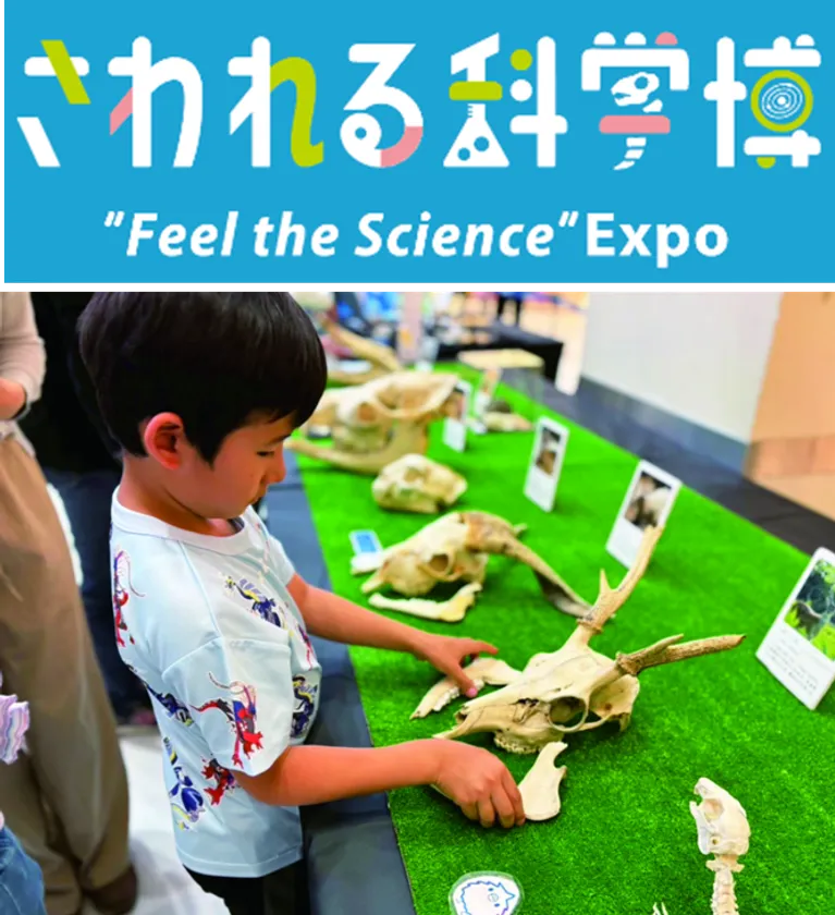 さわれる科学博