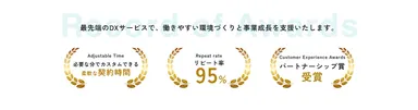実績