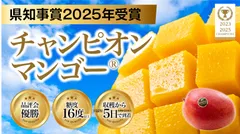 チャンピオンマンゴータイトル画像