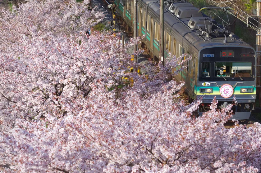 行田市内で撮影された第22回秩父鉄道写真コンテスト入賞作品　イメージ1