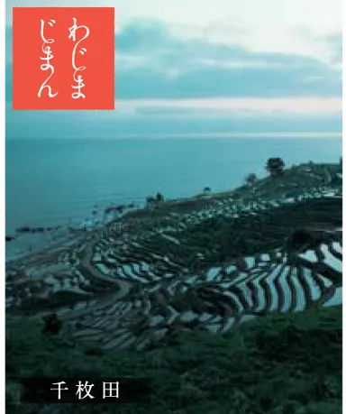 ラッピングデザイン-千枚田