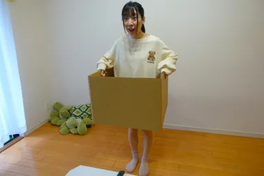 箱だけのブルース、プレイの様子