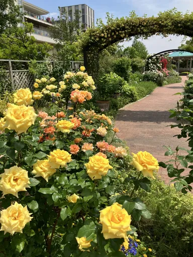 イングリッシュガーデン 黄色バラ