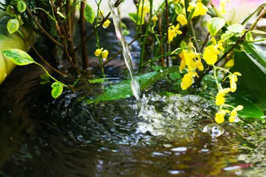 京都の食文化を支えてきた錦の湧き水