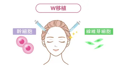 W移植治療イメージ