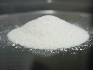 乳酸菌NTM048株のEPS(粉末)