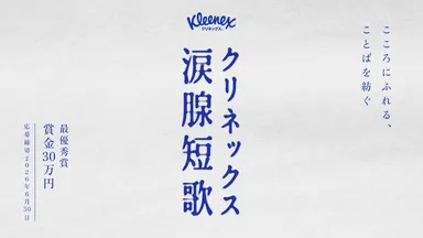 12..動画キャプチャ
