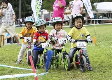 ストライダー　イメージ写真