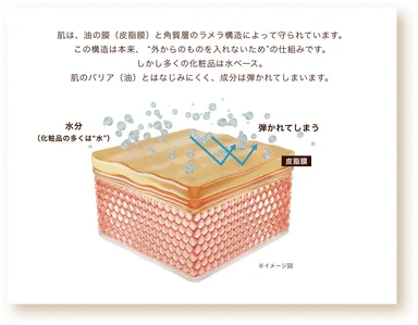 肌のバリア機能