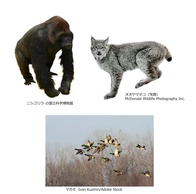 CHAPTER5　イメージ画像