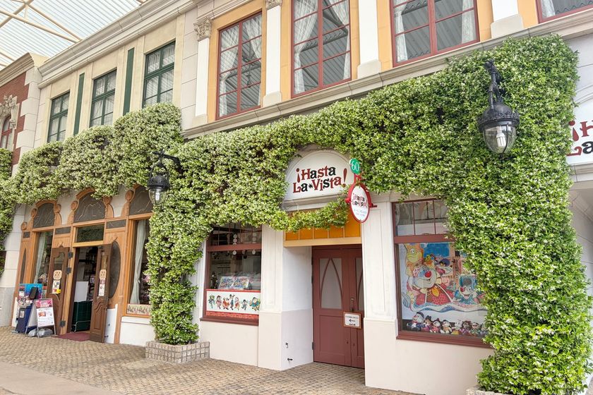 【志摩スペイン村】スタージャスミンが満開を迎えました！