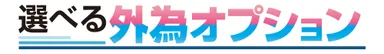 『選べる外為オプション』商品ロゴ