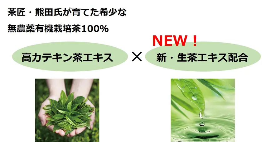 「高カテキン茶エキス」×「生茶エキス」