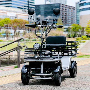 エレカーゴ(イメージ3)