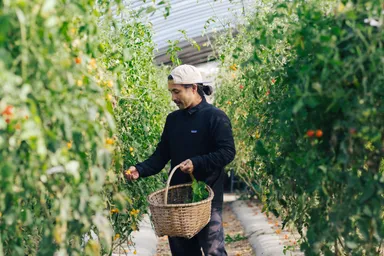 旬の野菜を楽しむ
