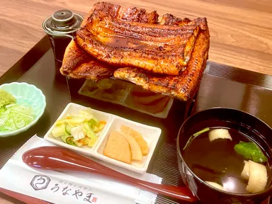 マウンテン重