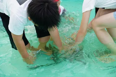 鮎のつかみ取りアップ