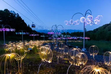 夏の夜を彩るマウンテンライツ