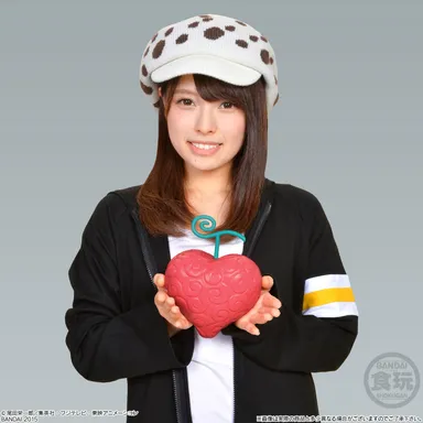 The Devil Fruit オペオペの実(5)