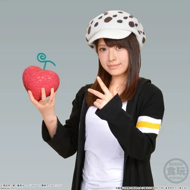 The Devil Fruit オペオペの実(6)