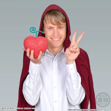 The Devil Fruit オペオペの実(7)