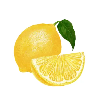 ビタミンC誘導 (製品の抗酸化剤)イメージ画像