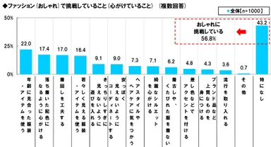 おしゃれの挑戦