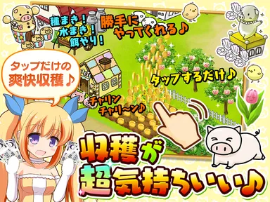 収穫が超気持ちいい