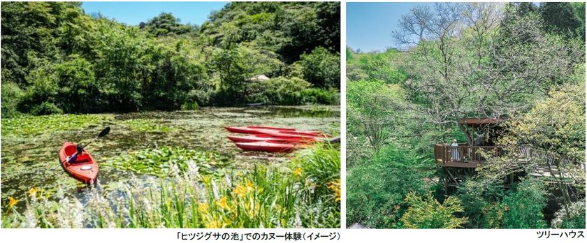 ROKKO森の音ミュージアム
神戸市街地より-5度の避暑地体験
「ROKKO山涼みフェス2026」開催
2026年7月18日（土）～20日（月・祝）