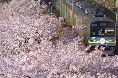 第22回秩父鉄道写真コンテスト 車両部門 推薦(秩父鉄道社長賞)作品　※行田市内で撮影された作品