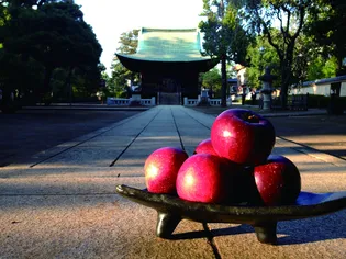 会場となる圓融寺の境内