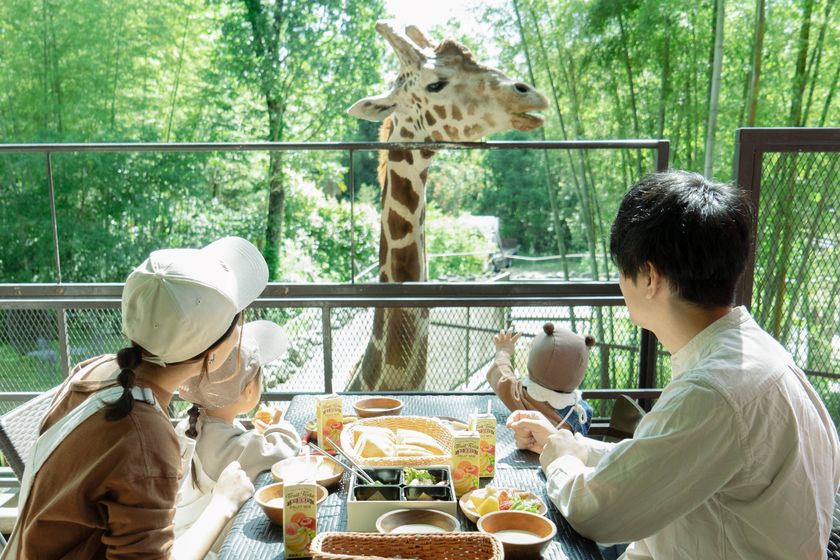 「キリンと朝食」が再開!
動物園×グランピング施設『THE BAMBOO FOREST』
夏限定・流しそうめん付き宿泊プランも開始