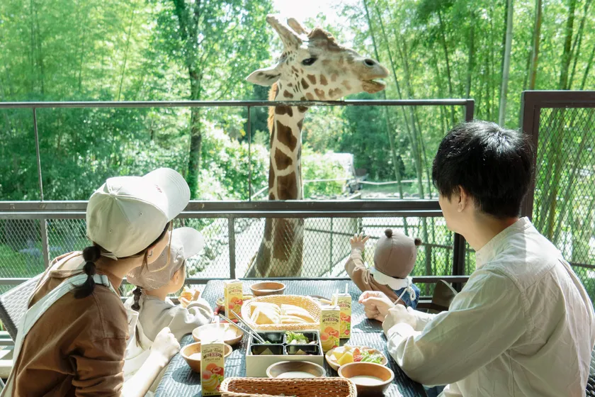 撮影場所:サユリワールド園内「キリンテラス」