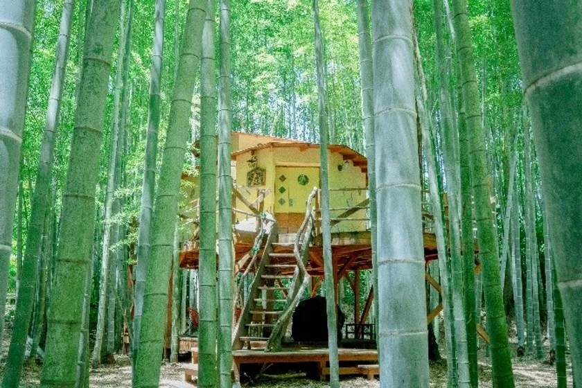 竹林に佇むロフト付きのツリーハウス「キリン庵」