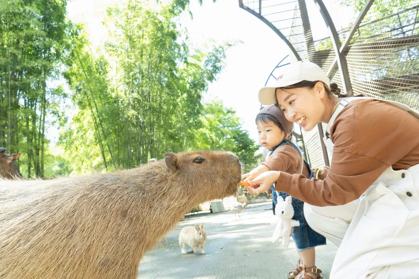 朝食後は、宿泊者様限定で開園前のサユリワールドをお楽しみいただけます
