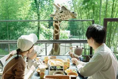 撮影場所：サユリワールド園内「キリンテラス」