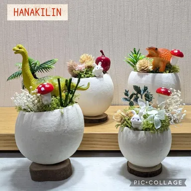 今回実施予定体験教室・ミニチュアガーデン講座