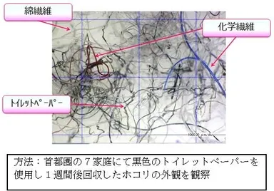 【図1】トイレのホコリのマイクロスコープ画像