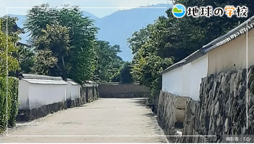 地球の学校ブログ_萩の伝統的建造物と夏みかん