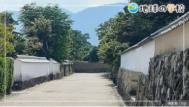地球の学校ブログ_萩の伝統的建造物と夏みかん