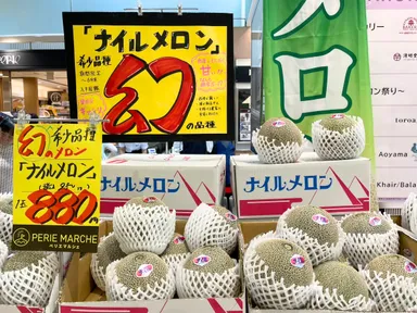 千葉県産ナイルメロン