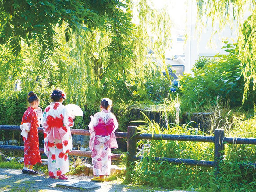 東京都福生市で「第61回福生ほたる祭」を5月31日(日)に開催！
子ども向け縁日やグルメ、写真コンクールなど多彩な企画を実施
