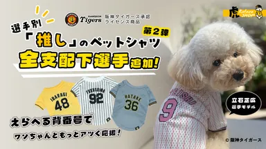 新たに追加された立石選手の刺繍ユニフォームを纏うワンちゃん