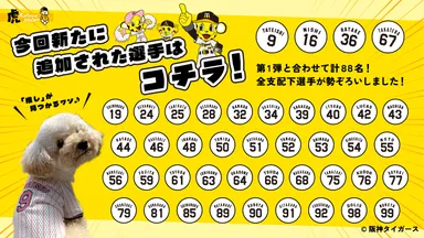 追加選手の一覧(ネーム＆背番号)