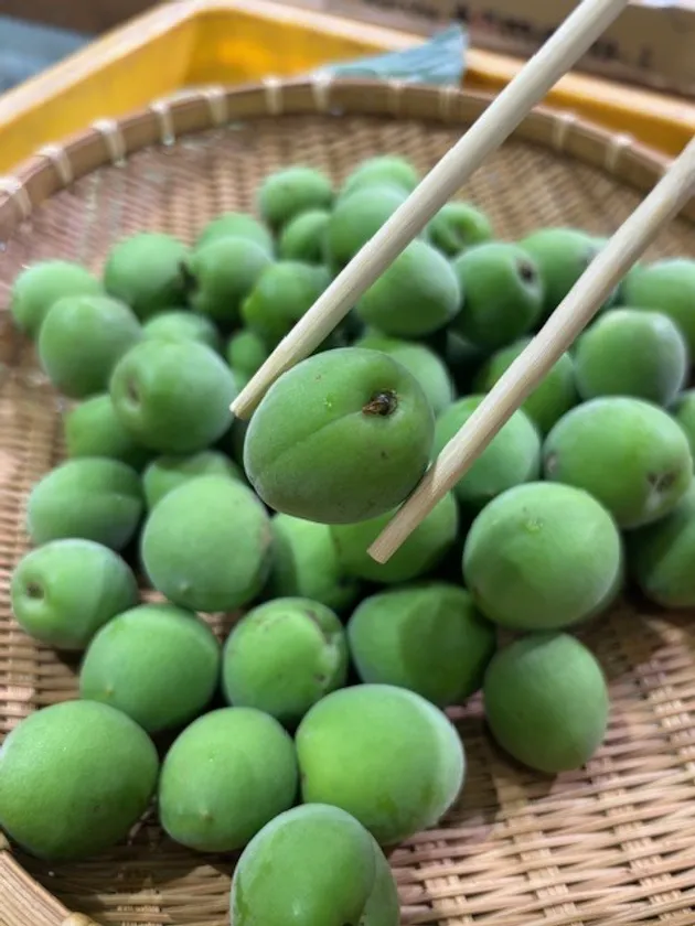 梅“爆取り”30秒チャレンジ