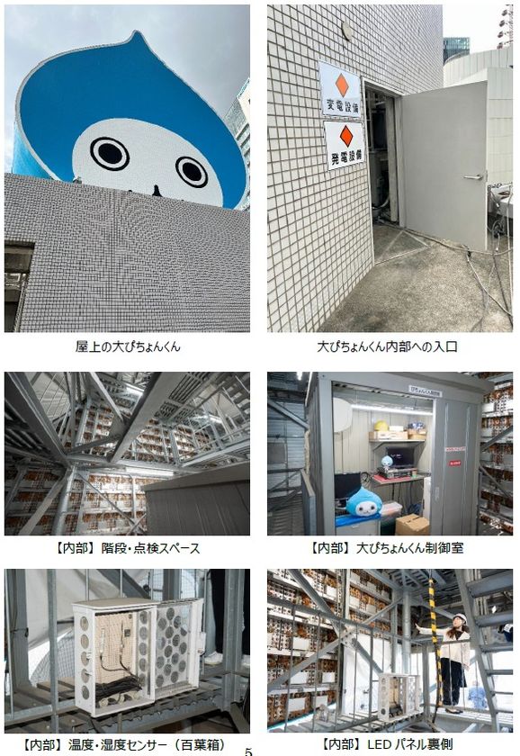 画像9