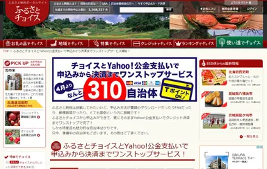 ふるさとチョイス クレジット可能自治体