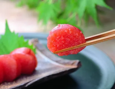 辛子明太子